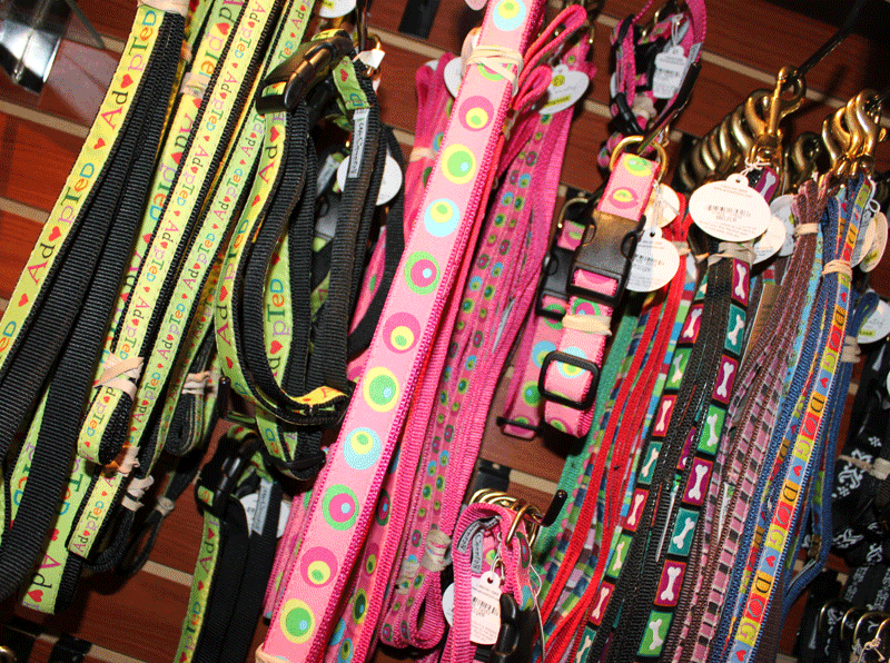 Leashes at Whiskers and Wags